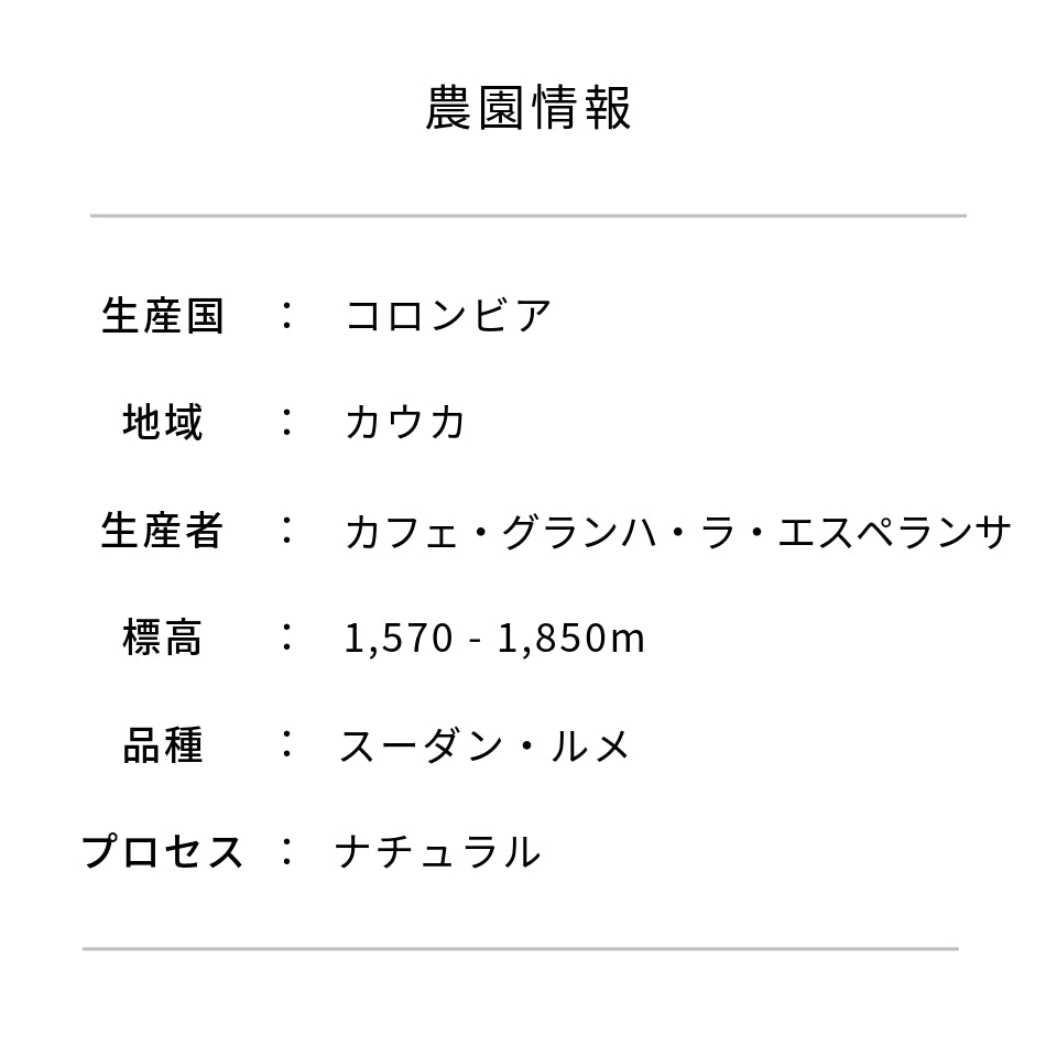 コロンビア ラス・マルガリータス農園 スーダン・ルメ