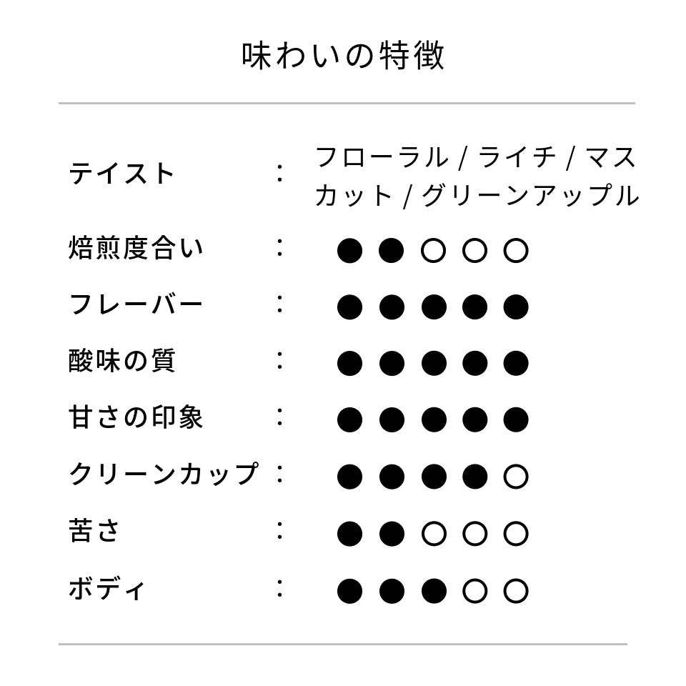 エクアドル ラ・ノリア農園 ゲイシャ